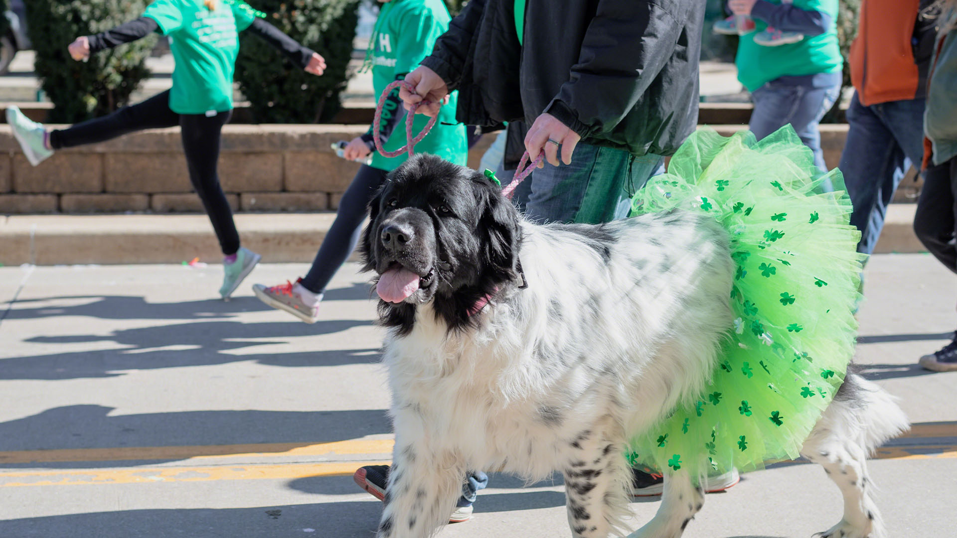 Too Many Car Accidents That Happen On St. Patrick’s Day End Tragically 2 Car Accidents South Florida Injury Law Firm