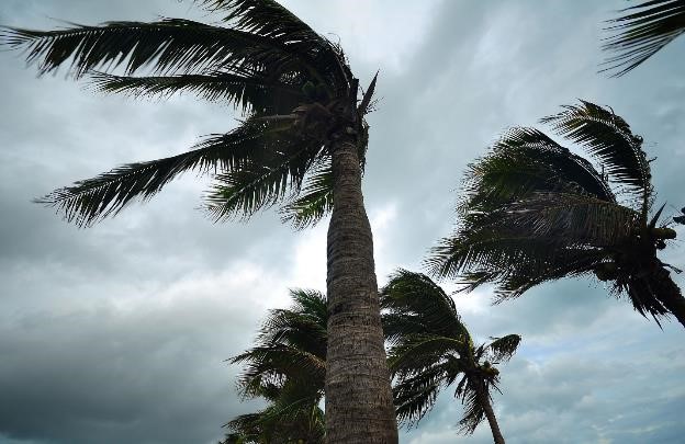What Types of Damages Did Irma Leave You With