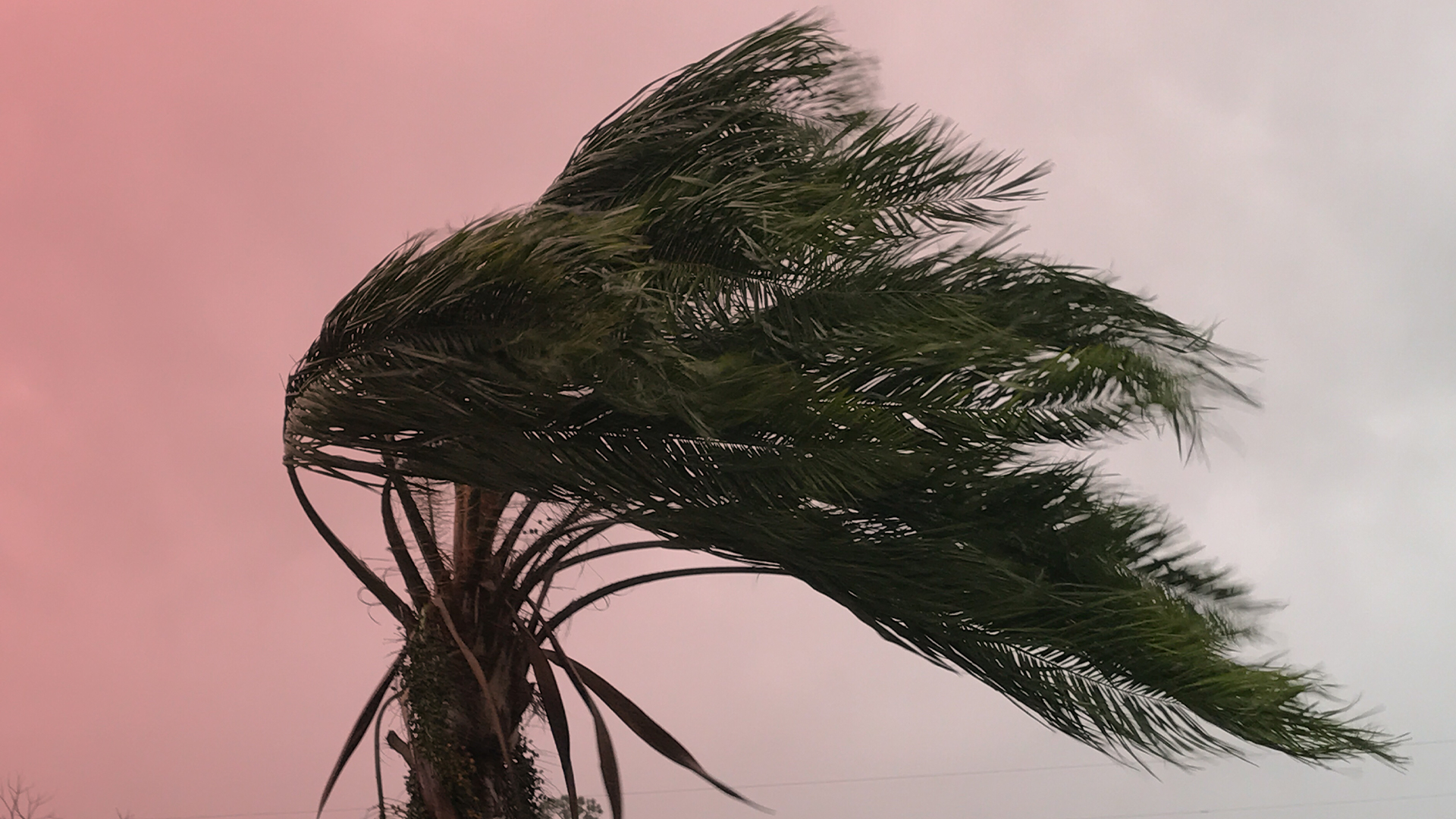 Hurricanes and Florida Electrocution Injuries 1 Electrocution Injury Law Firm of South Florida