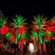 Curtis Hixon park in Tampa,  FL lit up for the holidays