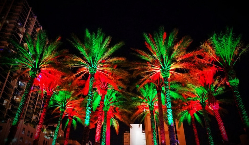 Curtis Hixon park in Tampa,  FL lit up for the holidays