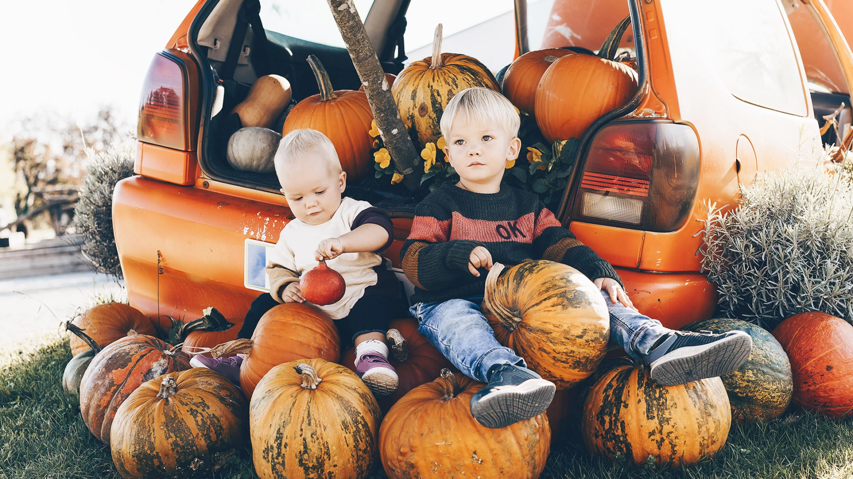 thanksgiving south florida car accident law firm_0000s_0001_kids-at-pumpkin-patch-halloween-and-thanksgiving-2022-10-06-