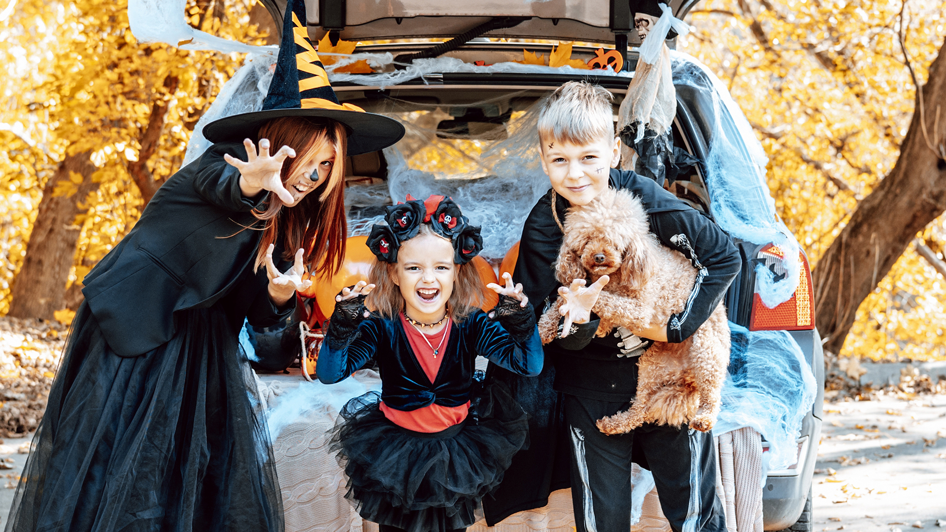 Avoid Frights: Halloween Night South Florida Driving Safety Tips 5 Auto Accidents South Florida Injury Law Firm